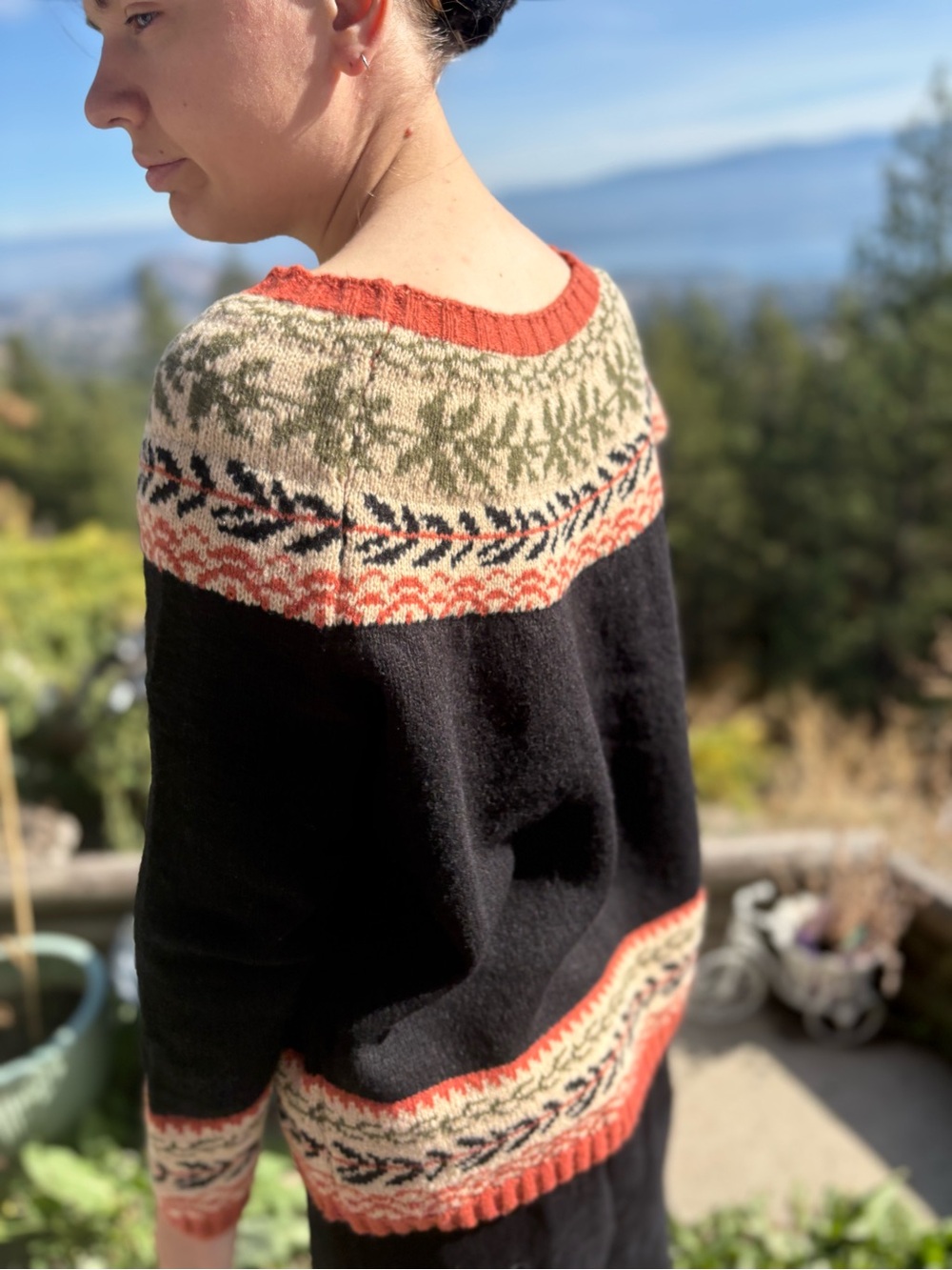 Ladies Fall Sweater - Picture 5 of 10